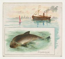 Porpoise, from Fish from American Waters series (N39) for Allen & Ginter Cigarettes, 1889. Creator: Allen & Ginter