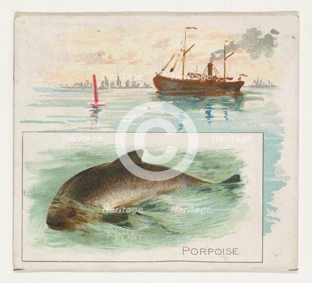 Porpoise, from Fish from American Waters series (N39) for Allen & Ginter Cigarettes, 1889. Creator: Allen & Ginter.