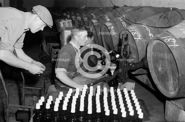 Port wine being bottled from the barrel at the Cutler Street warehouses, London, c1945-c1965.  Artist: SW Rawlings