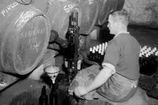 Port wine being bottled from the barrel at the Cutler Street warehouses, London, c1945-c1965. Artist: SW Rawlings