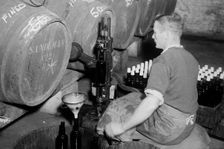 Port wine being bottled from the barrel at the Cutler Street warehouses, London, c1945-c1965. Artist: SW Rawlings