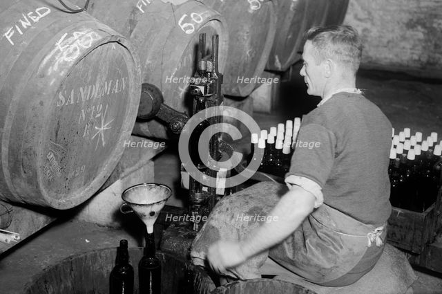 Port wine being bottled from the barrel at the Cutler Street warehouses, London, c1945-c1965. Artist: SW Rawlings