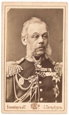 Portrait of Count Dmitry Alekseyevich Milyutin (1816-1912)