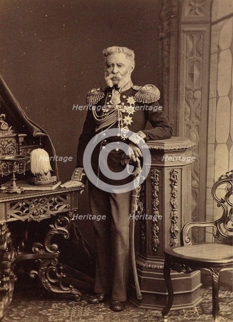 Portrait of Count Vladimir Fyodorovich Adlerberg (1791-1884), 1874.
