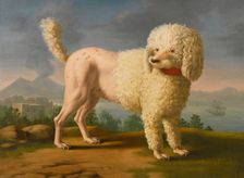 Portrait of Codina, believed to be lady Hamilton's poodle, the bay of Naples with a British man-of-w
