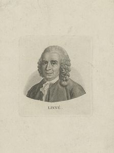 Portrait of Carl Linnaeus (1707-1778), c. 1780. Creator: Anonymous