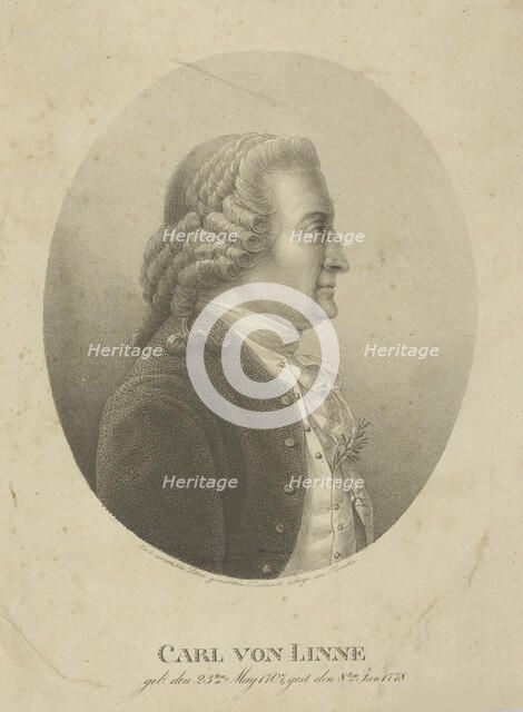 Portrait of Carl Linnaeus (1707-1778), c. 1800. Creator: Kunike, Adolph Friedrich (1777-1838).