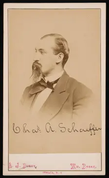 Portrait of Charles Ashmead Schaeffer (1843-1898), 1870s. Creator: Purdy & Frear