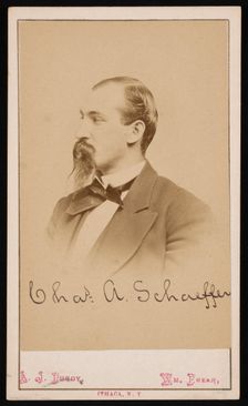Portrait of Charles Ashmead Schaeffer (1843-1898), 1870s. Creator: Purdy & Frear
