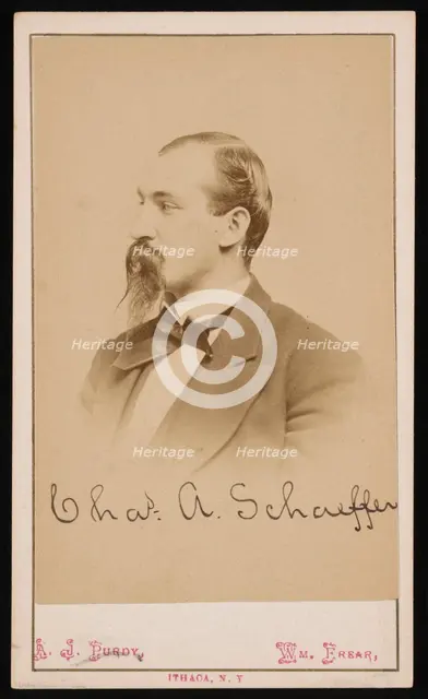 Portrait of Charles Ashmead Schaeffer (1843-1898), 1870s. Creator: Purdy & Frear.