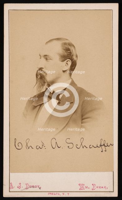 Portrait of Charles Ashmead Schaeffer (1843-1898), 1870s. Creator: Purdy & Frear.