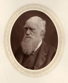 Portrait of Charles Darwin (1809-1882), 1877. Creator: Photo studio Lock & Whitfield (active 1856-1894)