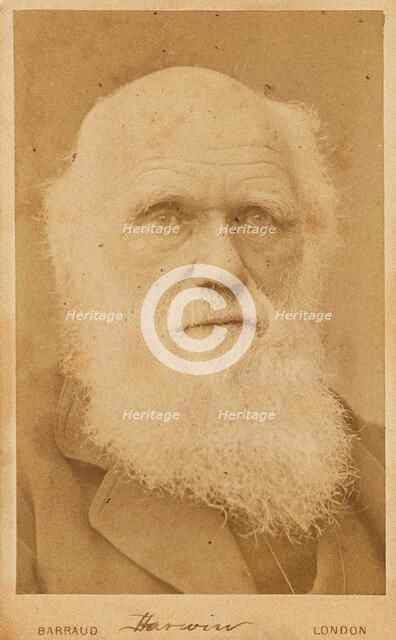 Portrait of Charles Darwin (1809-1882), 1881. Creator: Barraud, Herbert Rose (1845-1896).