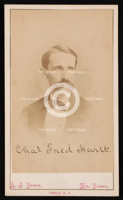 Portrait of Charles Frederick Hartt (1840-1878), Before 1878. Creator: Purdy & Frear.