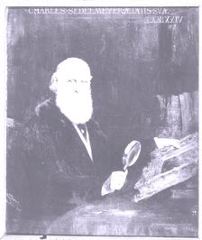 Portrait of Charles Sedelmeyer (1837-1925), art dealer, 1911. Creator: Gabriel Ferrier
