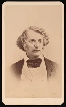 Portrait of Charles Sumner (1811-1874), Before 1874. Creator: James Wallace Black
