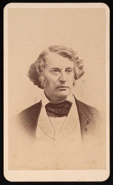 Portrait of Charles Sumner (1811-1874), Before 1874. Creator: James Wallace Black