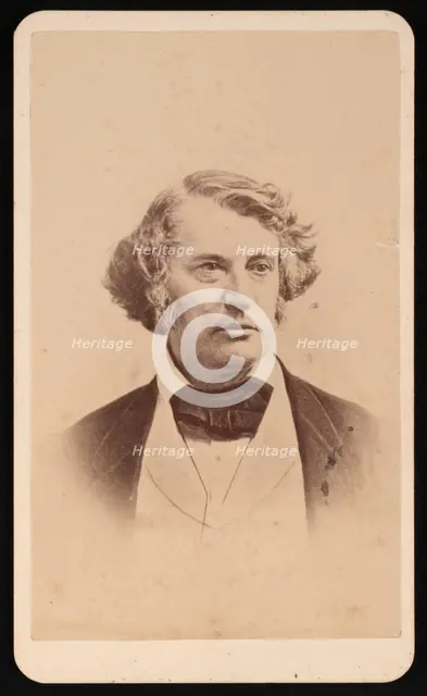 Portrait of Charles Sumner (1811-1874), Before 1874. Creator: James Wallace Black.
