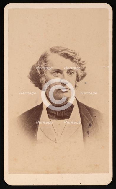 Portrait of Charles Sumner (1811-1874), Before 1874. Creator: James Wallace Black.