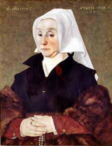 Portrait of a Woman by Bartolome de Bruyn