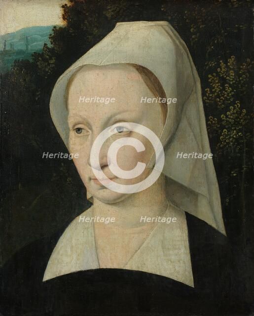 Portrait of a woman, c.1540-c.1550. Creator: Anon.