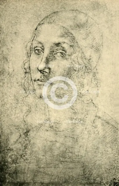Portrait of a woman, late 15th-early 16th century, (1943). Creator: Perugino.