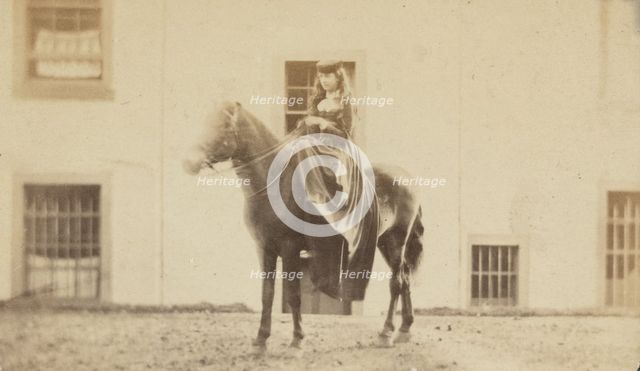 Portrait of a Woman Riding a Horse, late 19th century. Creator: Unknown.