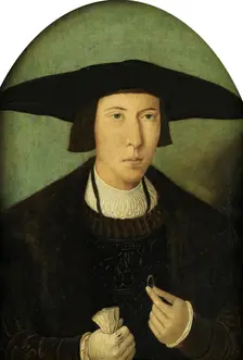 Portrait of a Young Gentleman, c1520. Creator: Jan Mostaert