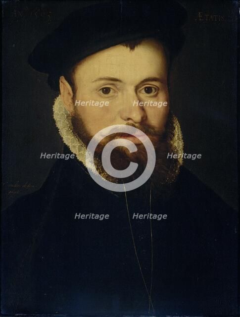 Portrait of a young Man, 1563. Creator: Cornelis de Zeeu.