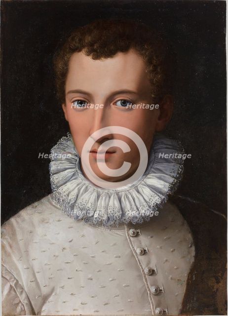 Portrait of a young man  , 1565-1569.