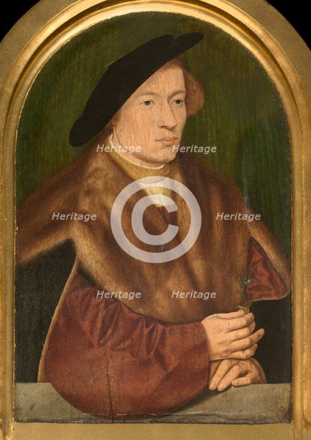 Portrait of a Young Man, 1528. Creator: Bartholomaeus Bruyn the Elder.