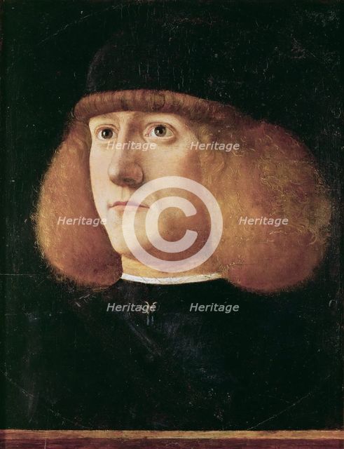 Portrait of a Young Man.