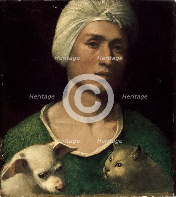 Portrait of a young Man holding a Dog and a Cat, c1530s. Artist: Dosso Dossi.