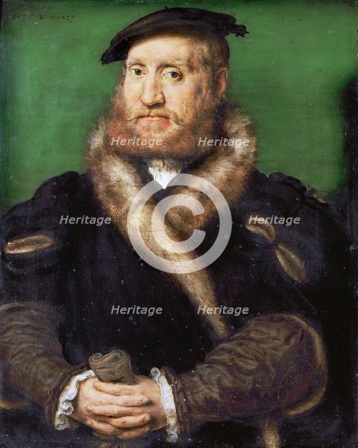 Portrait of a bearded man with fur coat.