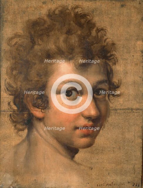 Portrait of a Boy. Creator: Fontana, Lavinia (1552-1614).