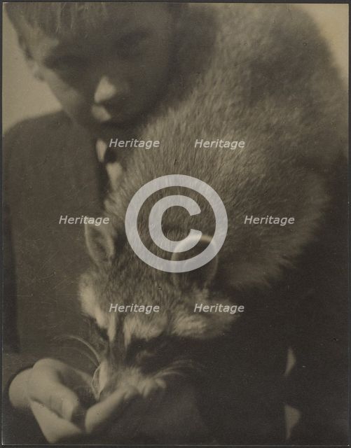 Portrait of a Boy Feeding a Raccoon, 1907-1943. Creator: Louis Fleckenstein.