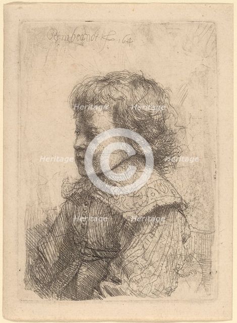 Portrait of a Boy in Profile, 1641. Creator: Rembrandt Harmensz van Rijn.