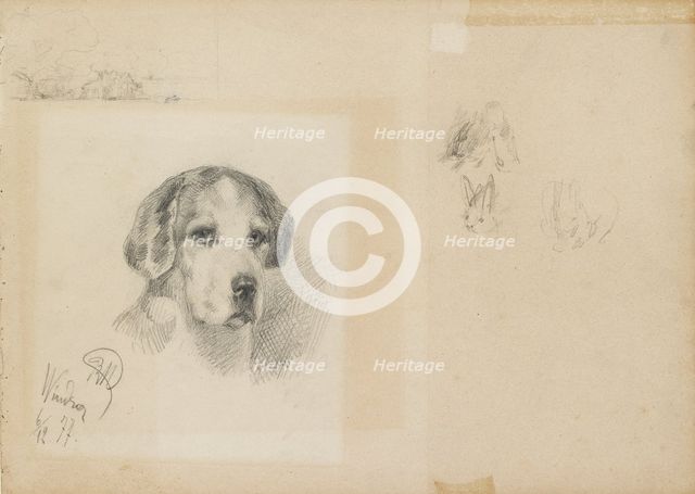 Portrait of a dog: Windsor, 1877. Artist: Rudolf Wimmer.