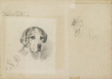 Portrait of a dog: Windsor, 1877. Artist: Rudolf Wimmer