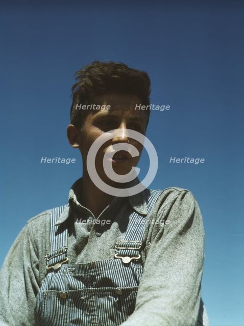 Portrait of a farm boy, between 1941 and 1945. Creator: Unknown.