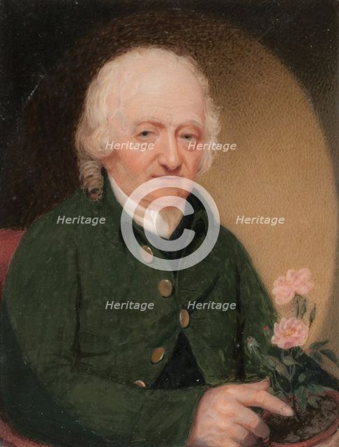Portrait of a Gentleman, ca. 1810-15. Creator: Unknown.