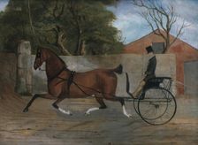 Portrait of a Gentleman in a Carriage, ca. 1850-60. Creator: Unknown