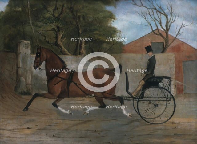 Portrait of a Gentleman in a Carriage, ca. 1850-60. Creator: Unknown.