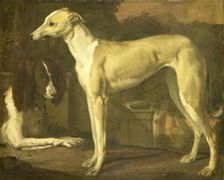 Portrait of a Greyhound and Spaniel, 1665-1680. Creator: Jan Weenix