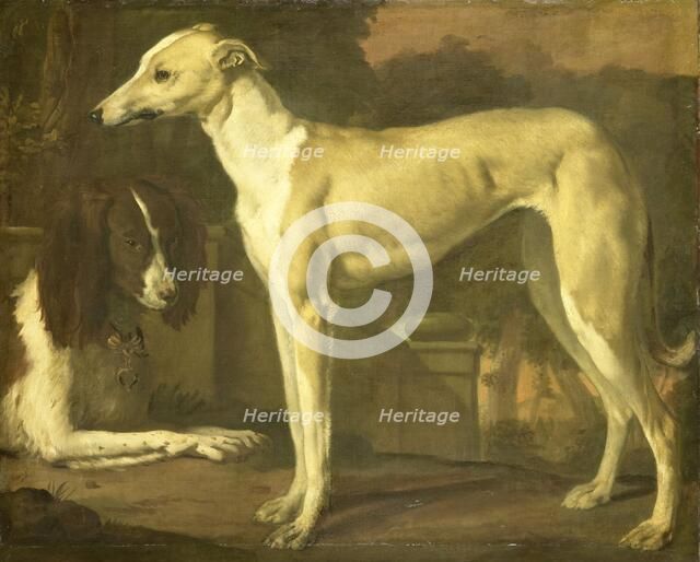 Portrait of a Greyhound and Spaniel, 1665-1680. Creator: Jan Weenix.