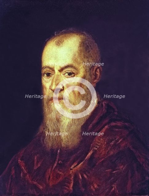  'Portrait of a Grimani family member', by Tintoretto.