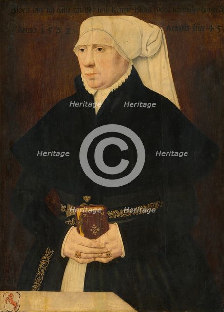 Portrait of a Lady, 1532. Creator: Unknown.