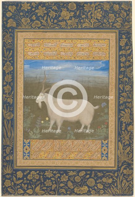 Portrait of a Ladakhi Mountain Goat, about 1600. Creator: Unknown.