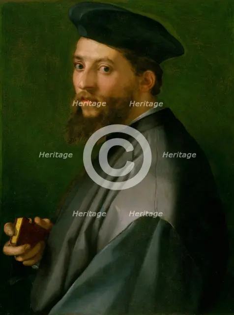 Portrait of a Man, 1528-30. Creator: Andrea del Sarto.