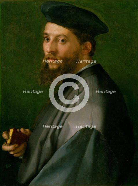Portrait of a Man, 1528-30. Creator: Andrea del Sarto.